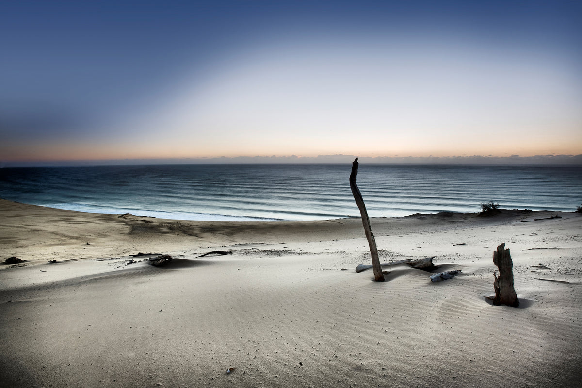 acrylic-print-reach-for-the-sun-x