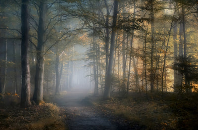 poster-print-autumn-symphony