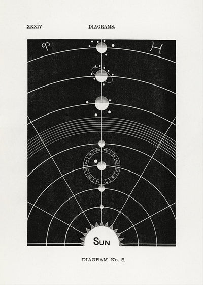 poster-print-solar-biology-no-5