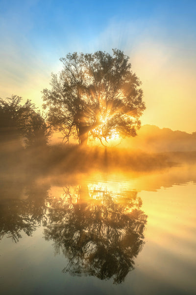poster-print-island-of-light