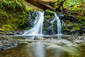 framedposter-print-the-ways-of-the-water