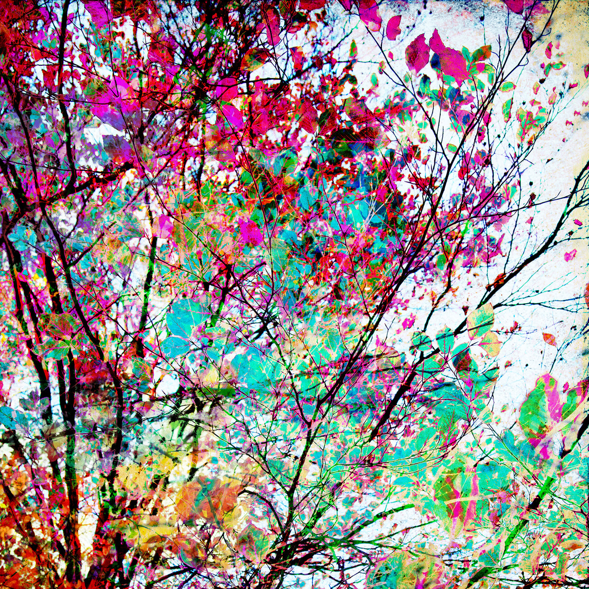 aluminium-print-autumn-8