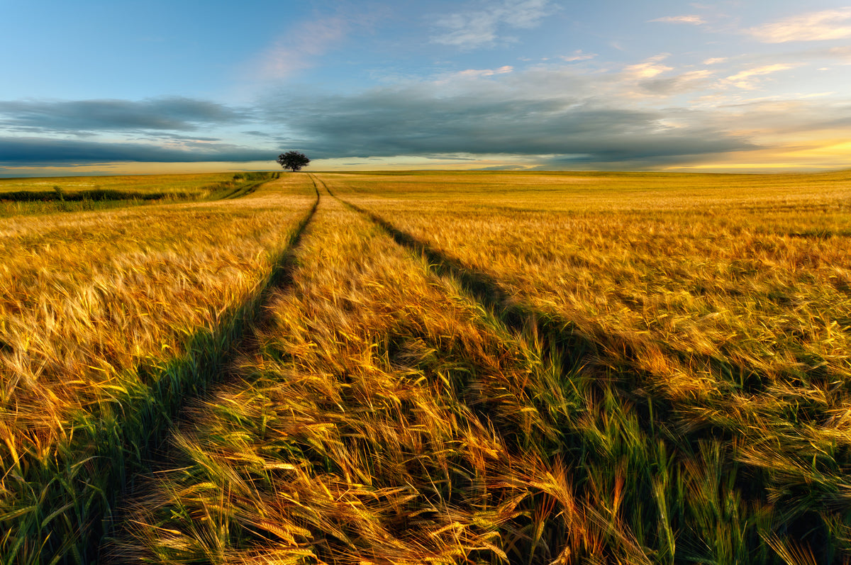 framedposter-print-countryside