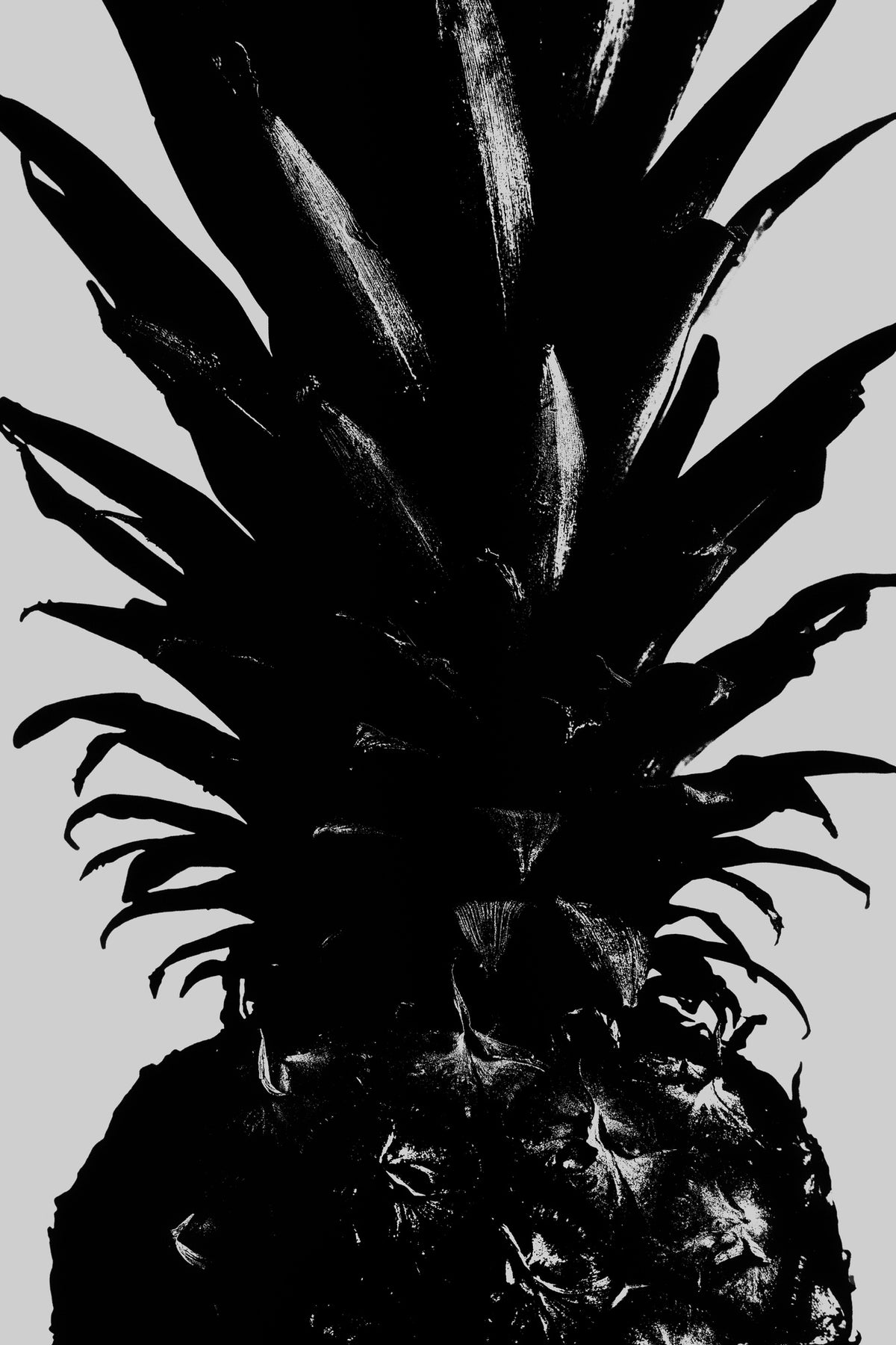 framedcanvas-print-pineapple-bw