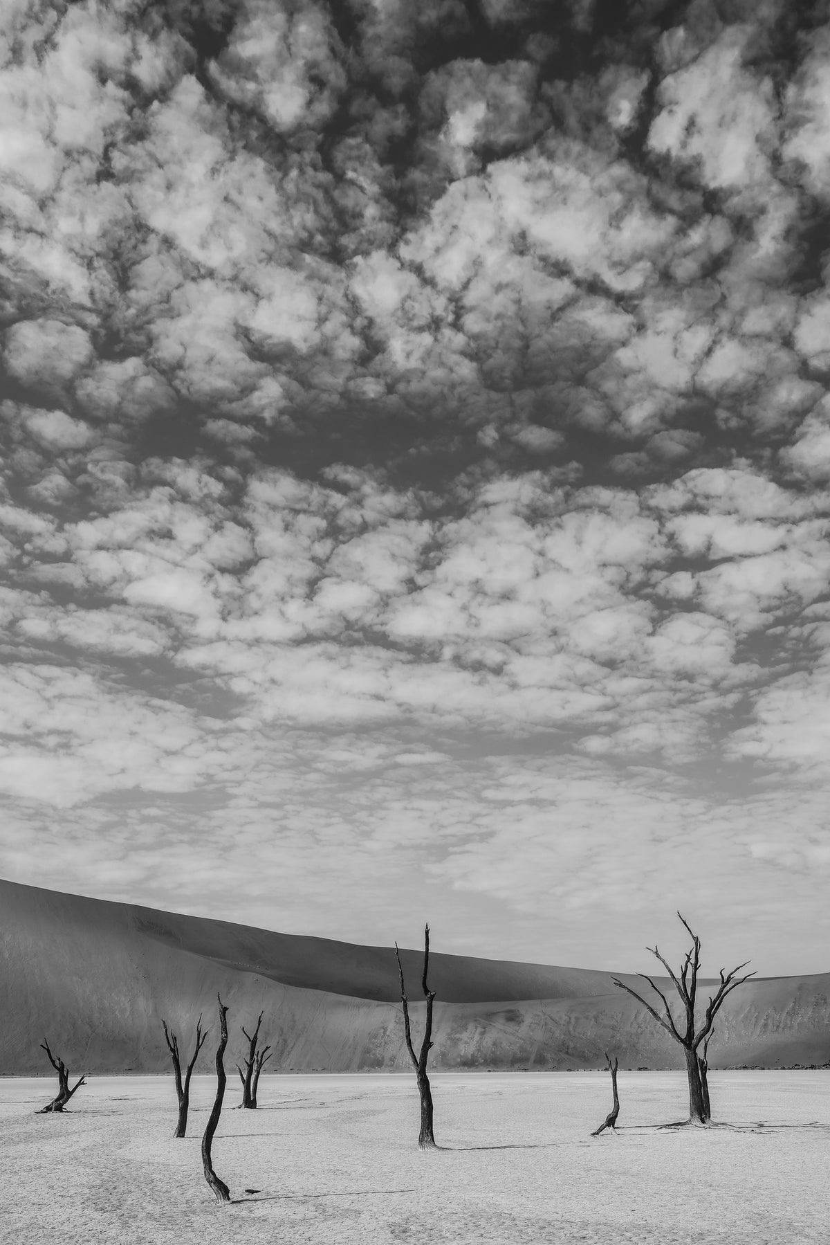 framedposter-print-black-and-white-desert-landscape-2