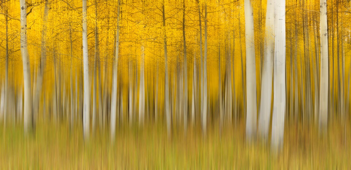 aluminium-print-autumn-dream-4