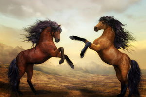 canvas-print-two-wild-horses