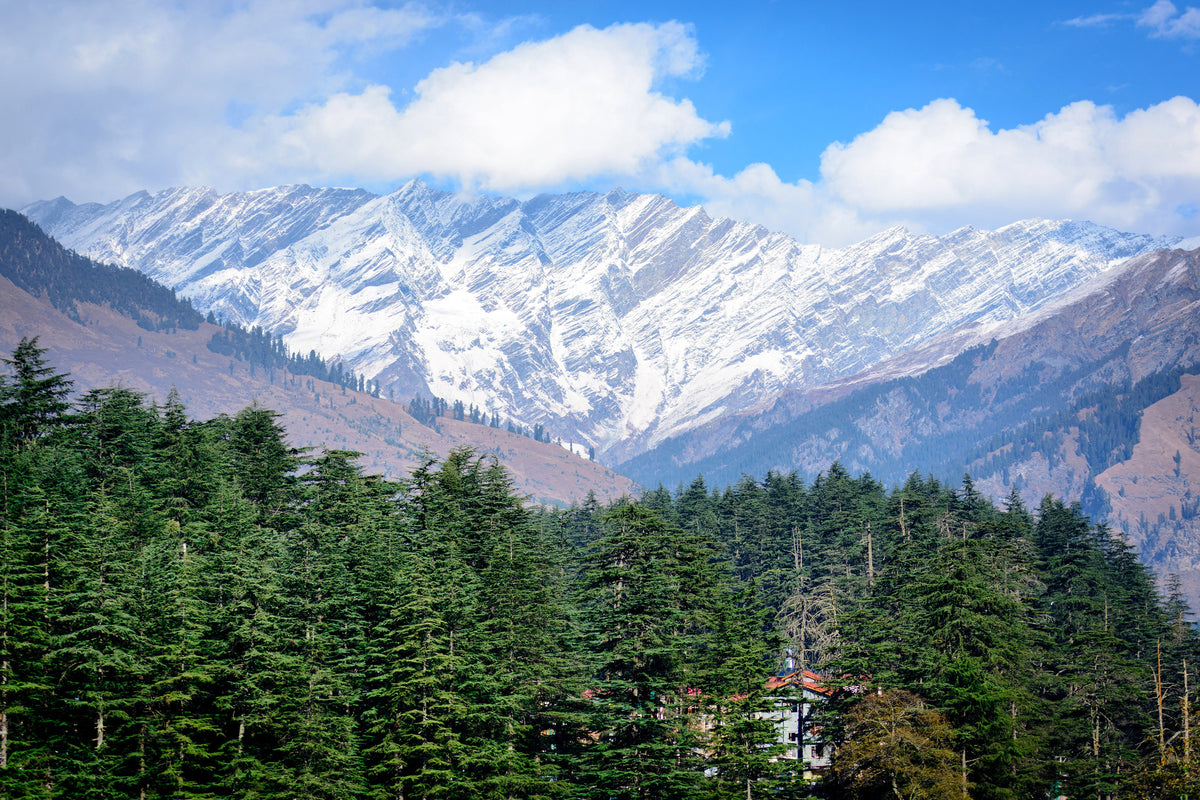 framedposter-print-view-of-manali