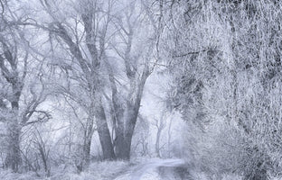 3-piece-canvas-print-deep-winter