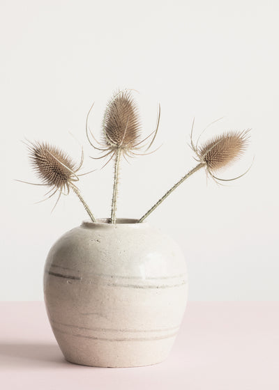 poster-print-dried-flowers-in-vase