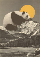 acrylic-print-giant-panda-nap