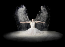 modern-4-piece-canvas-print-flour-wings