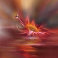acrylic-print-song-of-my-soul