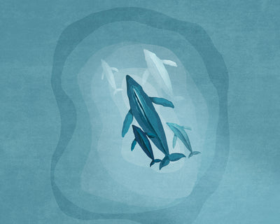 poster-print-gentle-giants-swim