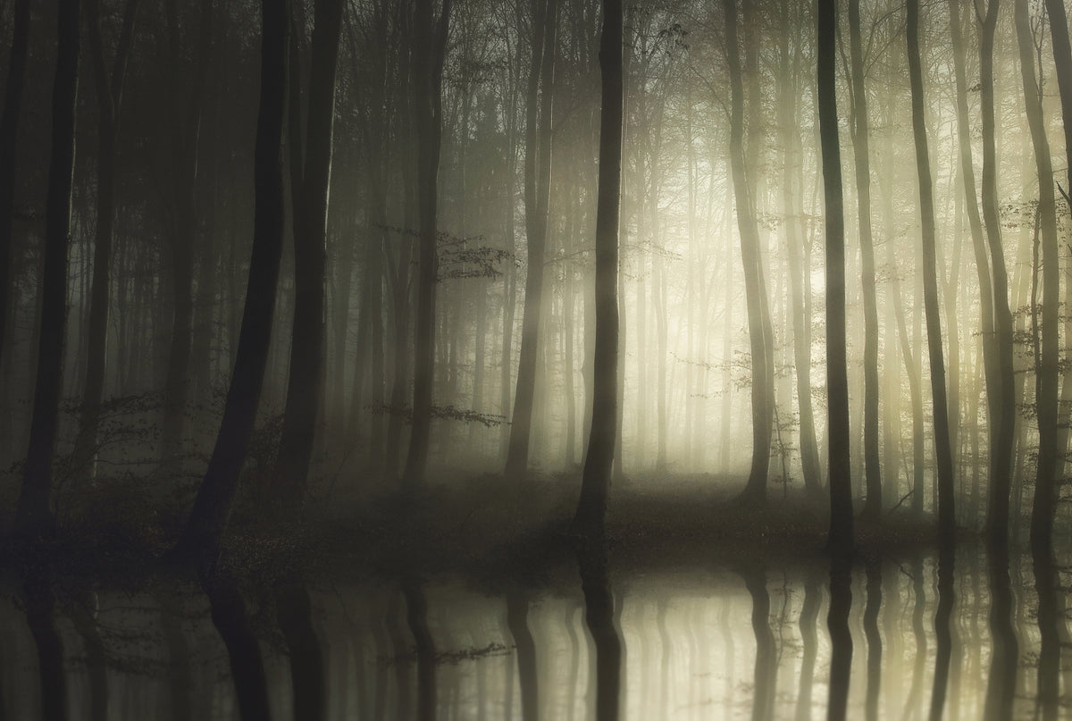 canvas-print-absolute-silence