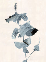 aluminium-print-botanical-silhouette-no1-print