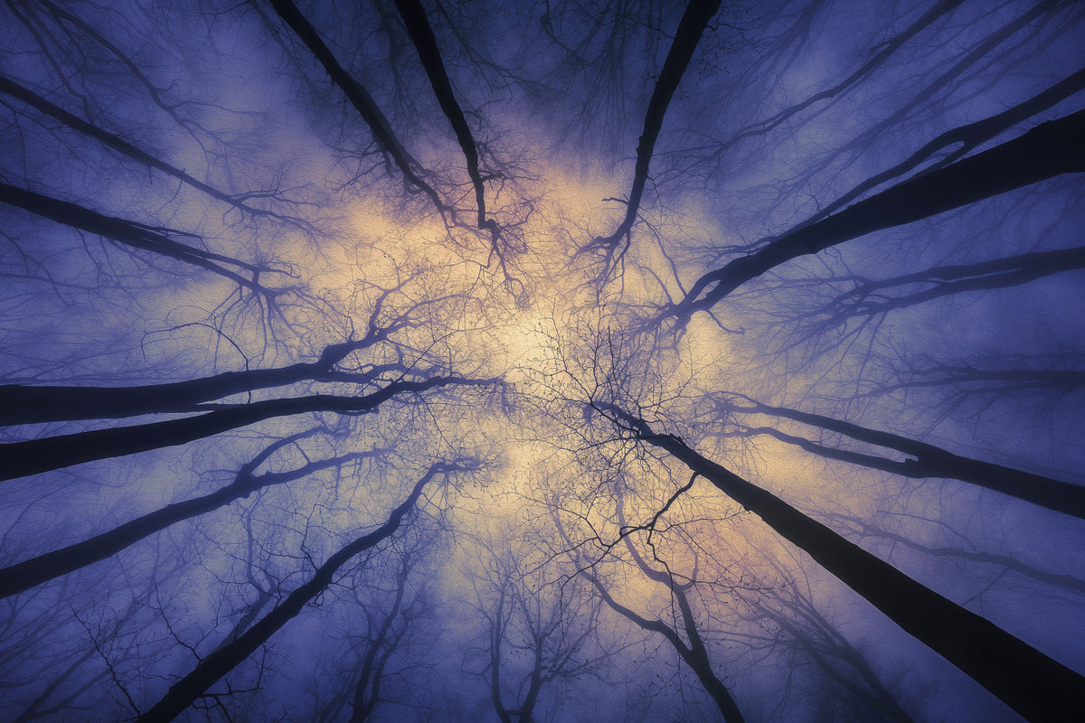 3-piece-acrylic-print-magical-forest-2