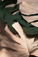 framedcanvas-print-monstera-mix-01