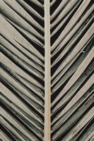 acrylic-print-palmblad-005