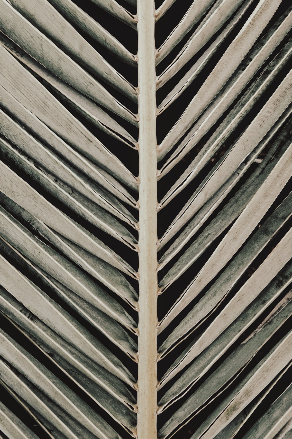 acrylic-print-palmblad-005