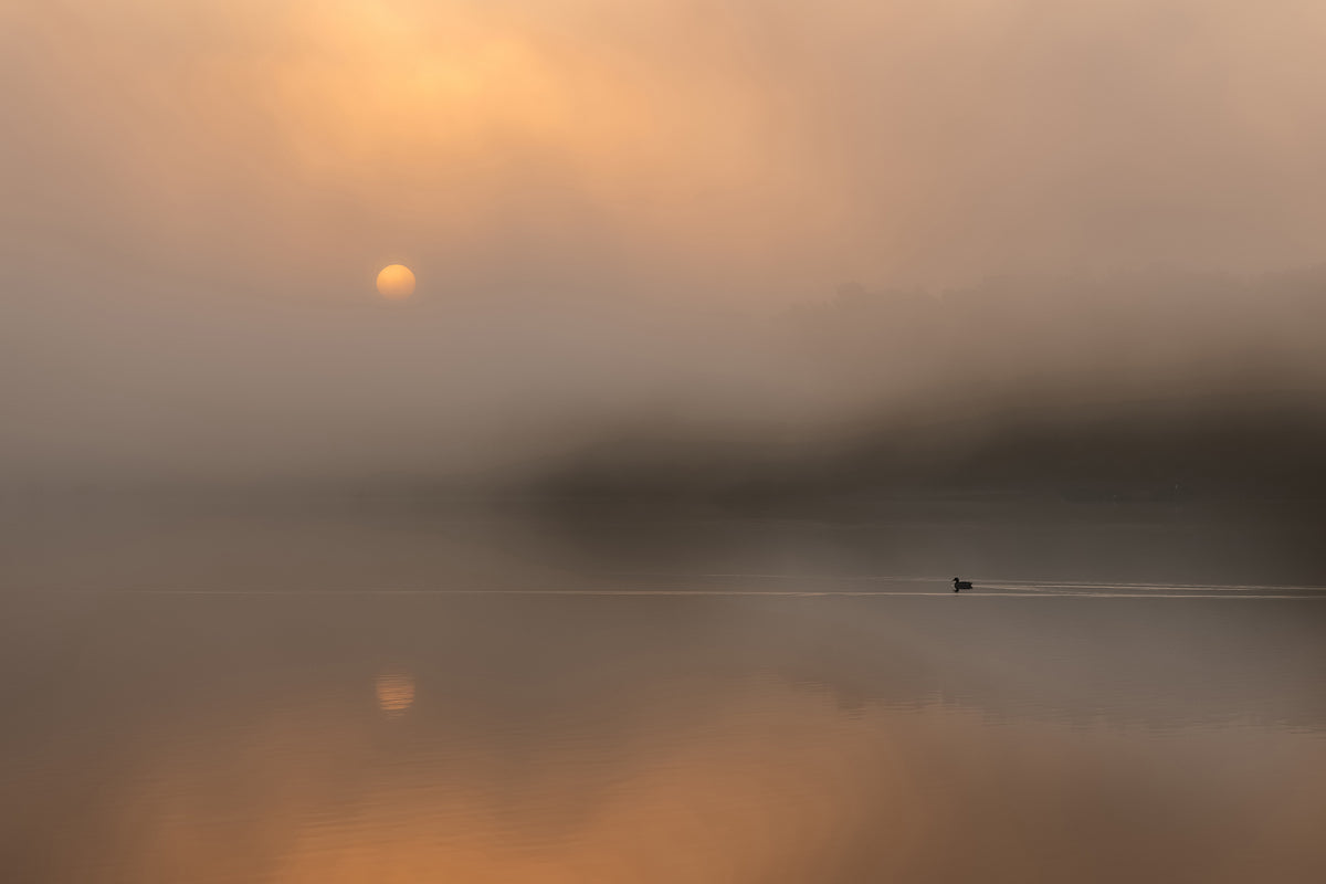 framedposter-print-autumn-fog-over-the-water