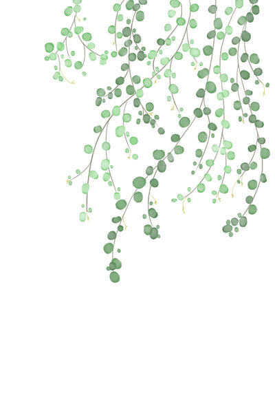 poster-print-birch-tree