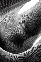 canvas-print-zebra-architectural-waveform