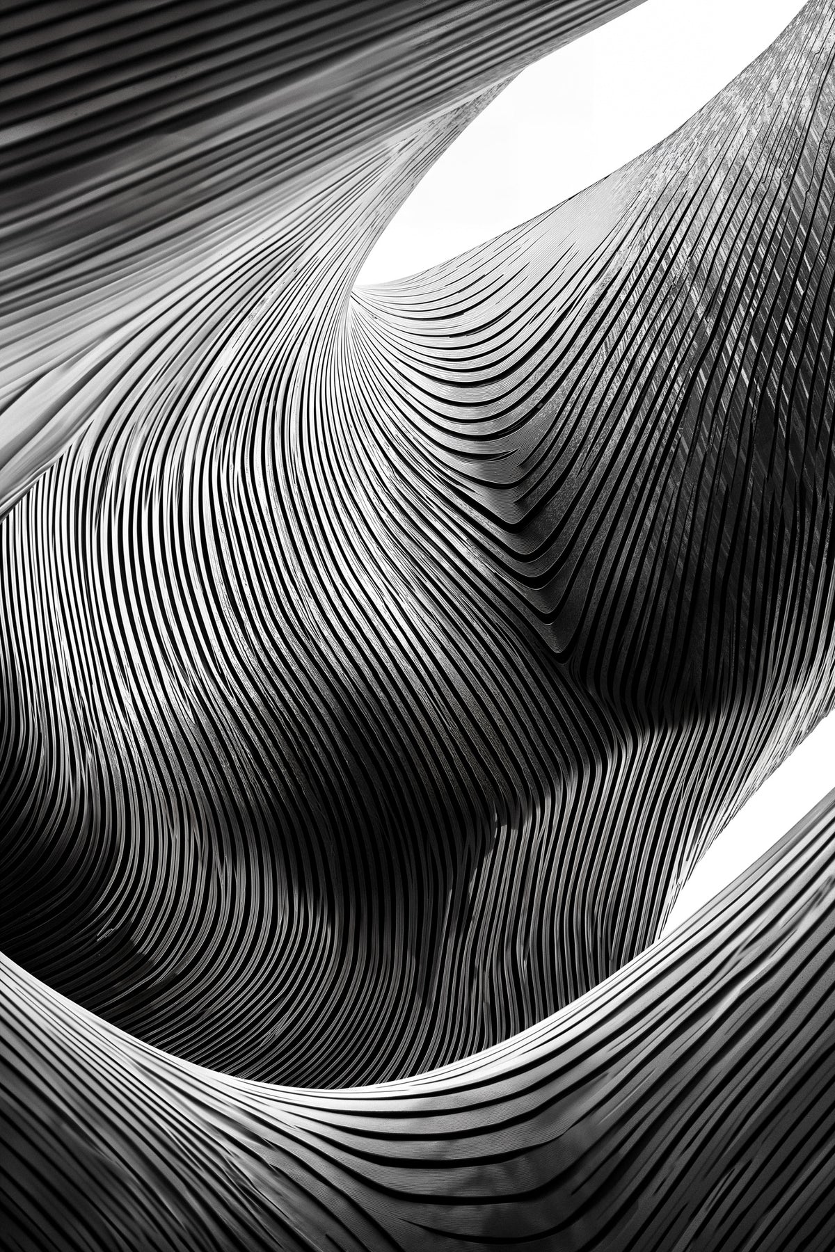 canvas-print-zebra-architectural-waveform