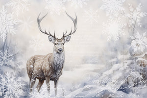 acrylic-print-nordic-winter
