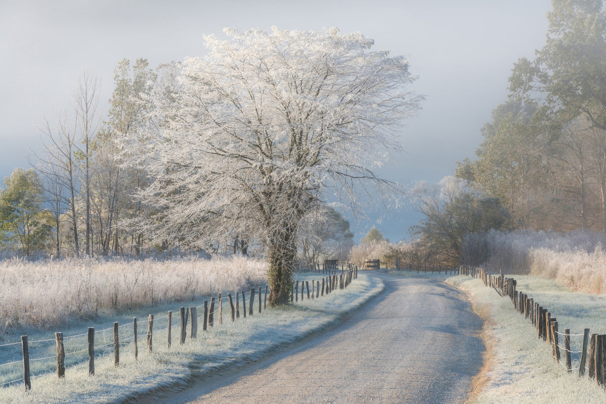 3-piece-aluminium-print-a-frosty-morning