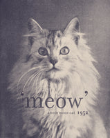 framedposter-print-famous-quote-cat