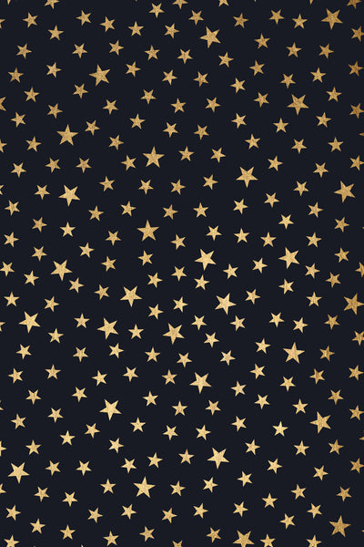 poster-print-stardust-at-midnight
