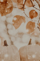 framedcanvas-print-cozypumpkinimpressionno04