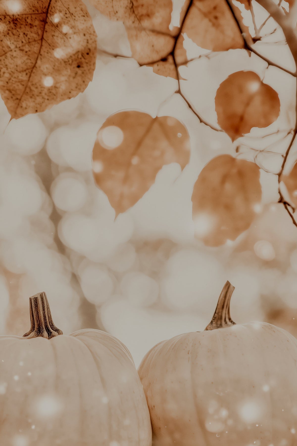 framedcanvas-print-cozypumpkinimpressionno04