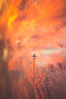framedposter-print-airplane