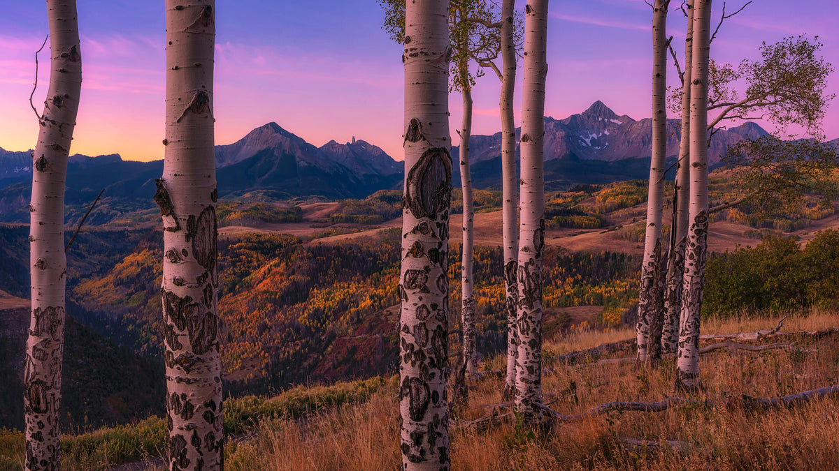5-piece-acrylic-print-aspen-frames