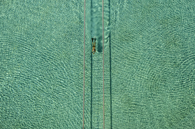 poster-print-swimmer