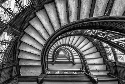 poster-print-the-rookery
