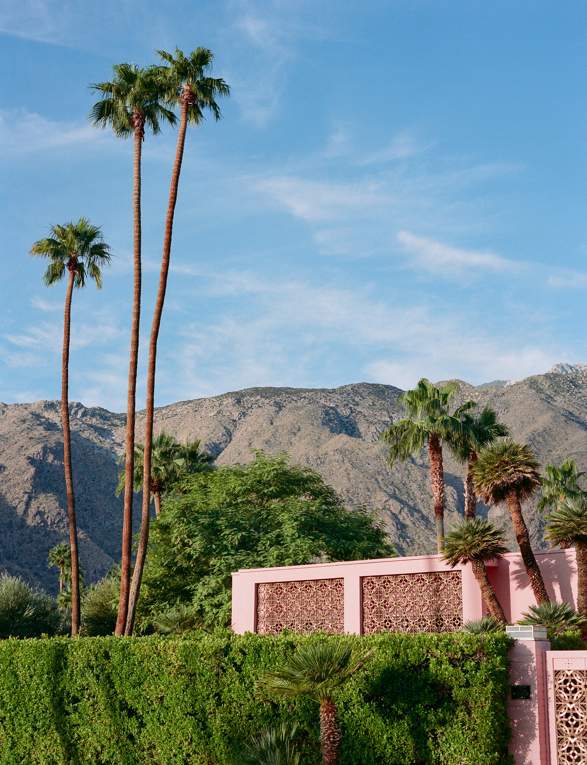 poster-print-palm-springs-pink-house