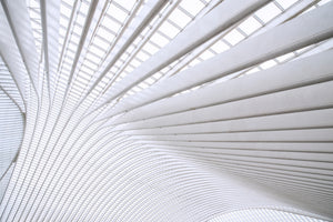 framedposter-print-curvature-x