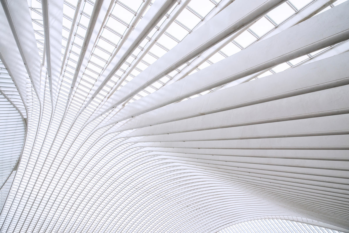 framedposter-print-curvature-x