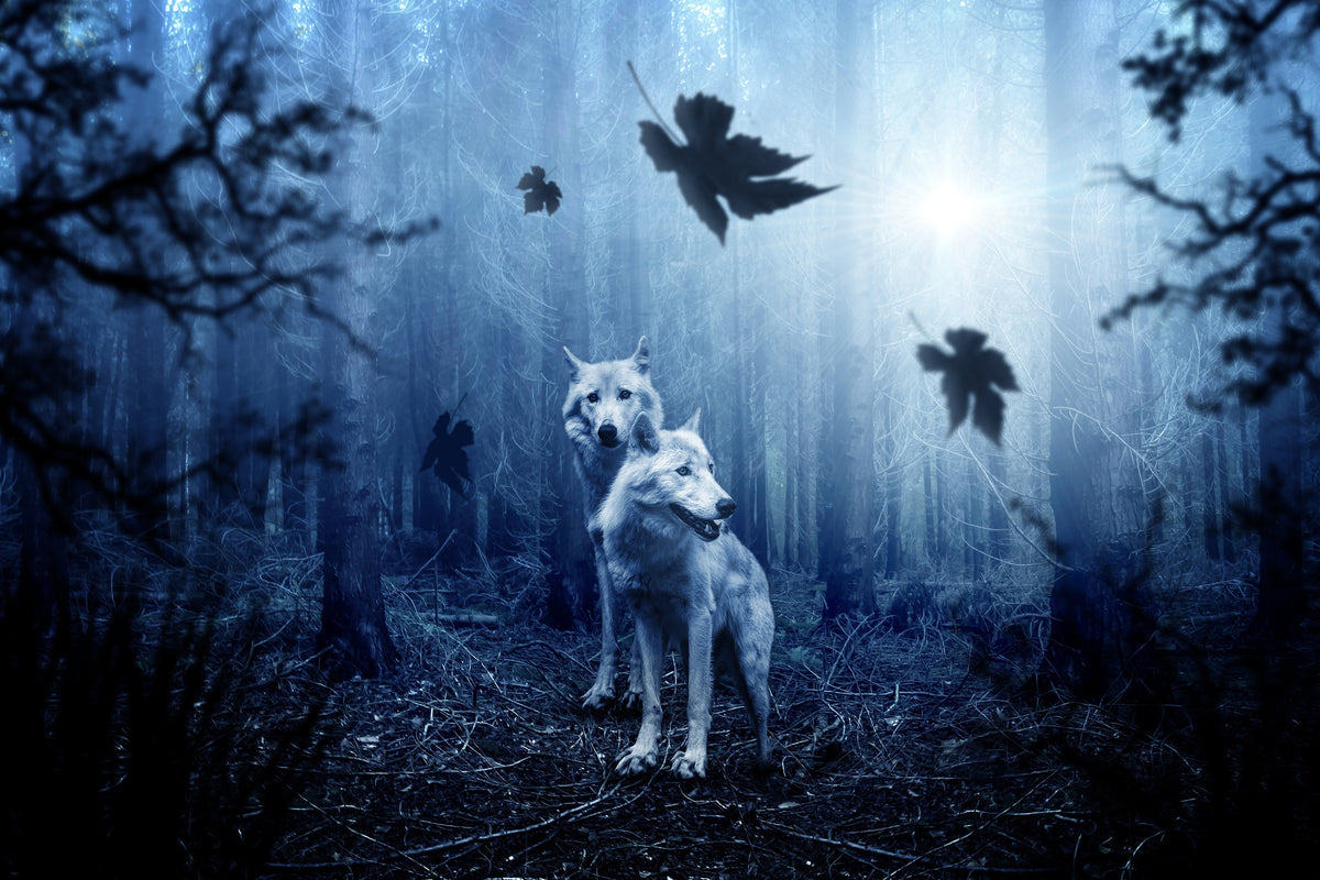 poster-print-wolf39s-couple