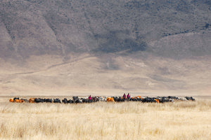 aluminium-print-incredible-maasai