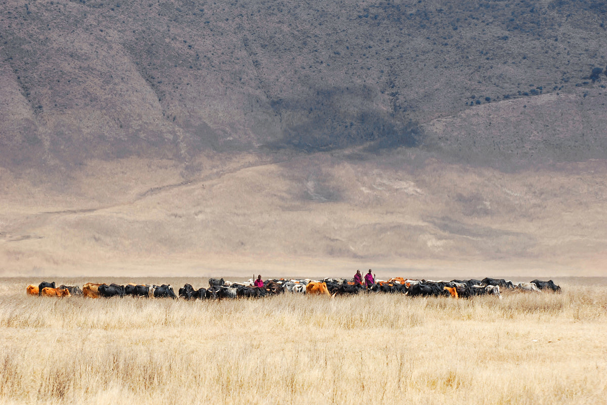 aluminium-print-incredible-maasai