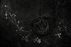 3-piece-canvas-print-rose-noire