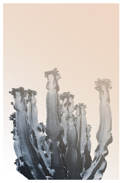 poster-print-cactus-silhouettes