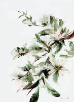 acrylic-print-bloom-2