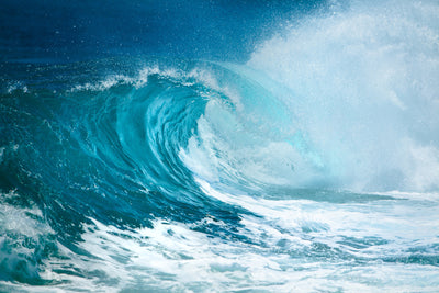 poster-print-the-perfect-wave