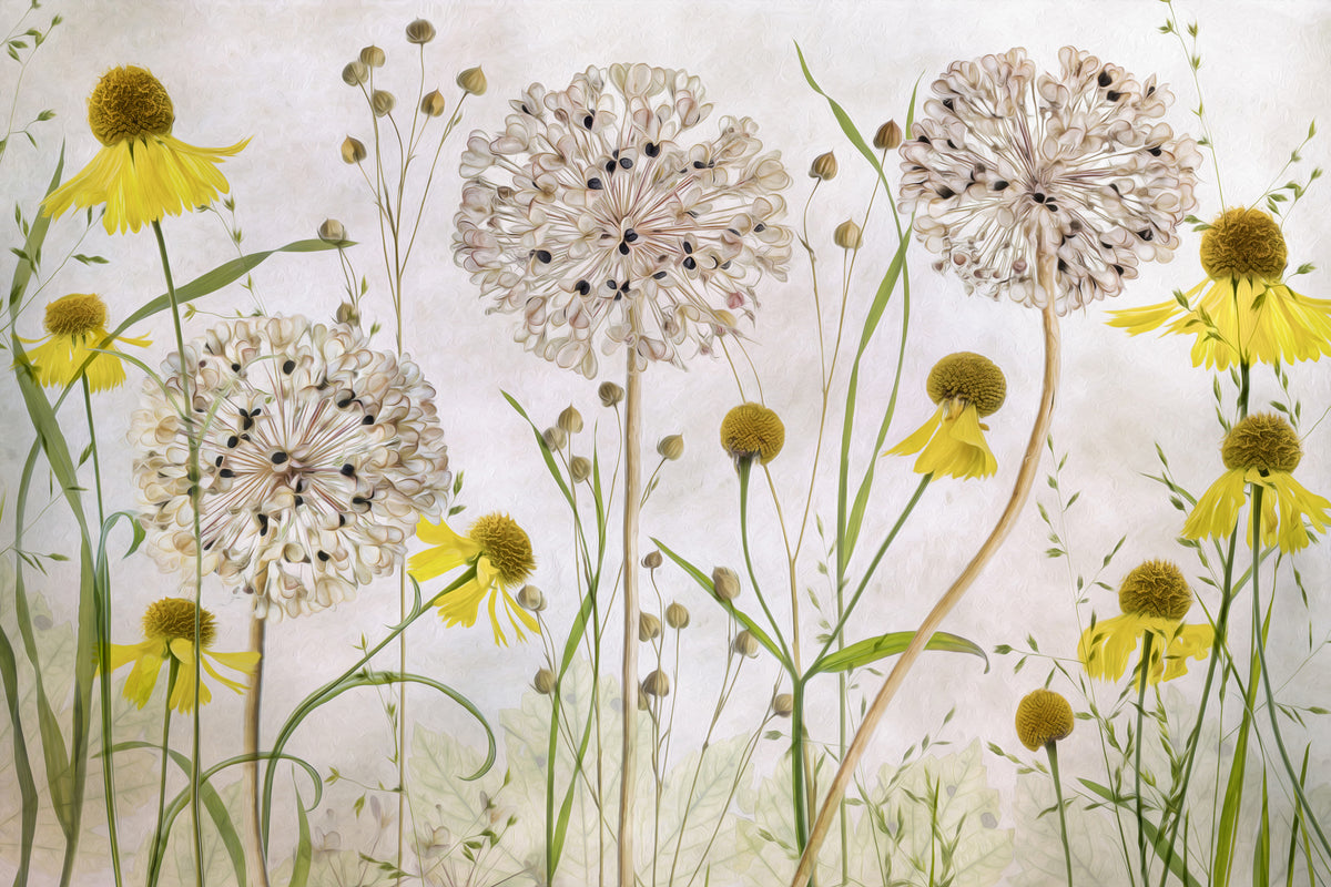 modern-3-piece-canvas-print-alliums-and-heleniums