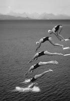 aluminium-print-the-beauty-of-diving